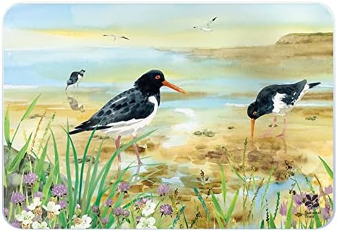 National Trust Nature Collection Medium Worktop Saver, Oystercatcher