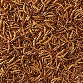 Pets Take Away Ltd 12.55kg Dried Mealworms Wild Bird Treats/Food