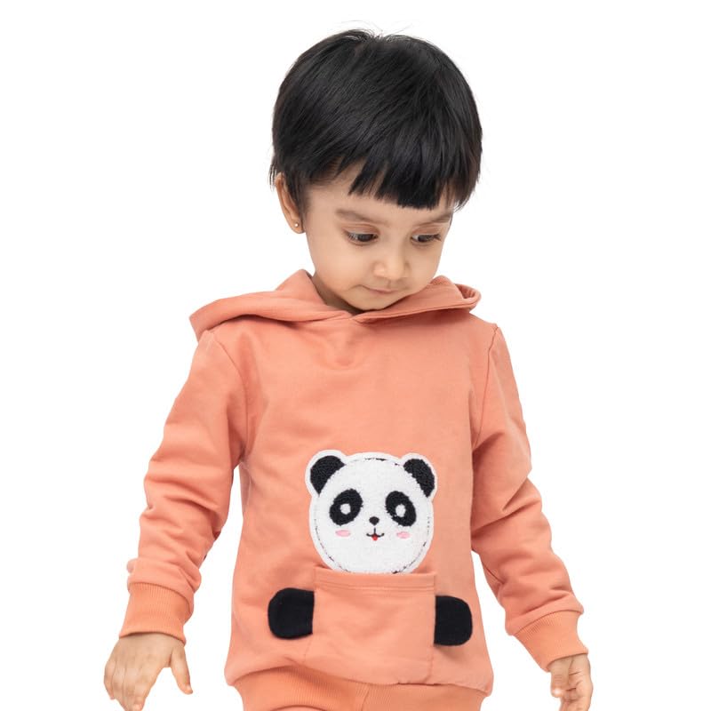 ARIEL Kids Cotton Fleece Full Sleeve Hoodie Sweatshirt for Boys and Girls (ORGPKTTED-ORA-06MTS) Peach - Image 3 thumbnail