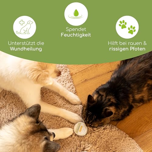 Pfotenbalsam mit Bienenwachs für Hunde und Katzen | Spürbar weichere Pfötchen | 100% natürliche Inhaltsstoffe | Pflegt rissige und spröde Pfoten im Winter - Nasenbalsam ohne Parfum
