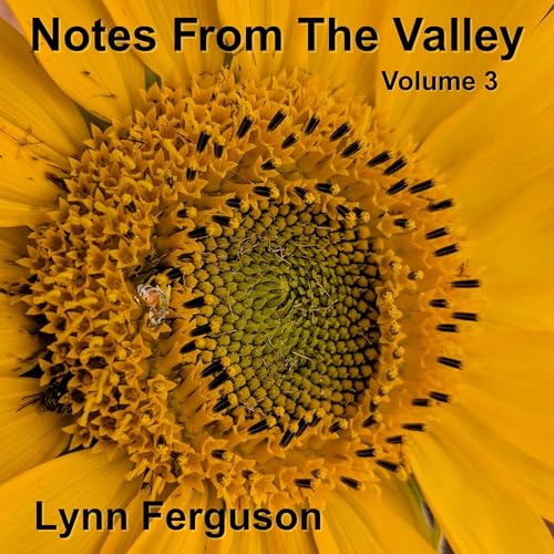 Page de couverture de Notes from the Valley, Volume 3