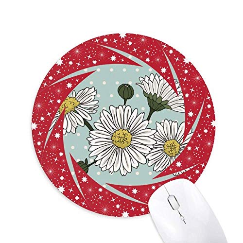 ẻԂ̐A ~`S̐Ԃ̃zC[pbh