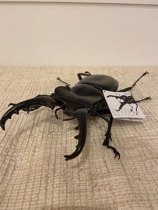 クワガタ　コーサカスオオカブト　ヘラクレスオオカブト　MEGAフィギュア　8個 Amazon.co.jp: ヘラクレスオオカブト ミヤマクワガタ コーカサス