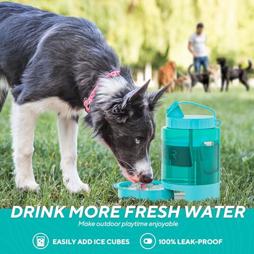 Image of 77oz Portable Dog Water Bottle, Large Travel Water Bowls for Dogs Camping Essentials Hiking Park Traveling Beach Walk Accessories, Dog Water Bowl Dispenser with Pull-Out Drinking Bowl, BPA Free