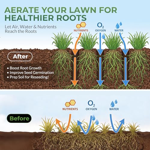 Walensee Four-Row 20-Spike Aerator