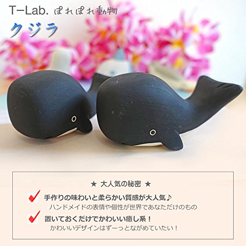 Amazon.co.jp: ぽれぽれ 動物 くじら クジラ 鯨 ホエール