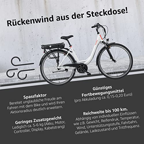 TELEFUNKEN E-Bike Damen 28 Zoll, Elektrofahrrad Alu mit 7-Gang Nabenschaltung - Pedelec Citybike mit Fahrradschloss, Mittelmotor 250W & 13Ah / 36V Lithium-Ionen-Akku, RC890 Multitalent