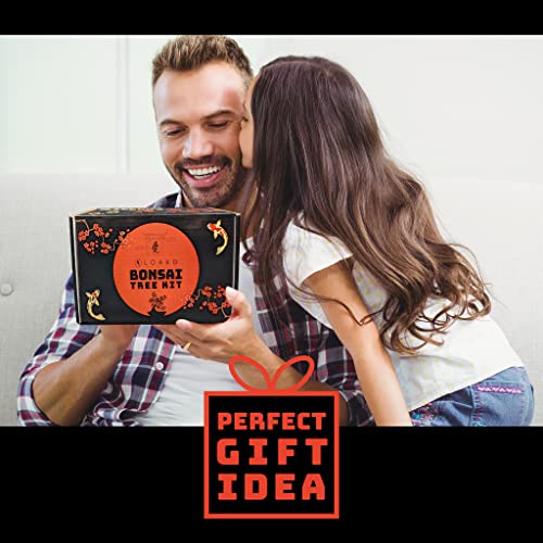 Bonsai Tree Seed Starter Kit - Complete Growing Kit - Grow 4 Bonsai Tree Live Indoor From Seed - Indoor Garden - Grow Your Own Live Plant - Great Gardening Gifts Idea #TOP5