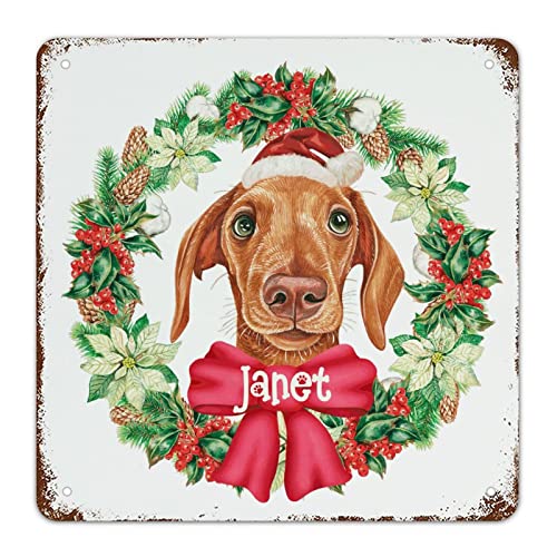 Panneau de Noël rétro en aluminium personnalisable avec nom de chien Guangpat 38x38 cm