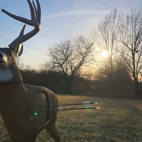 Image of GLENDEL Crossbow Buck 3D Archery Target, Stops 400+ FPS Bolts and Arrows, Replaceable 4-Sided PolyFusion Core, Mimics the Proportions of a 200 lb Whitetail Deer with 150 inch B&C Antlers
