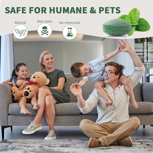 Image of Rat Repellent Rodent, Mouse, Rats, Spider, Squirrel, Pest Control Indoor & Outdoor, Natural Mouse Deterrent Replace Traps Car Home Pack of 1 (10 Tablet) Repel Mice and Rats Protect Wires in Car, No Kill Only Repels Home Garden Patio Garage Rat Controller Pills to Keep Rodents Out of Car (10-boll)