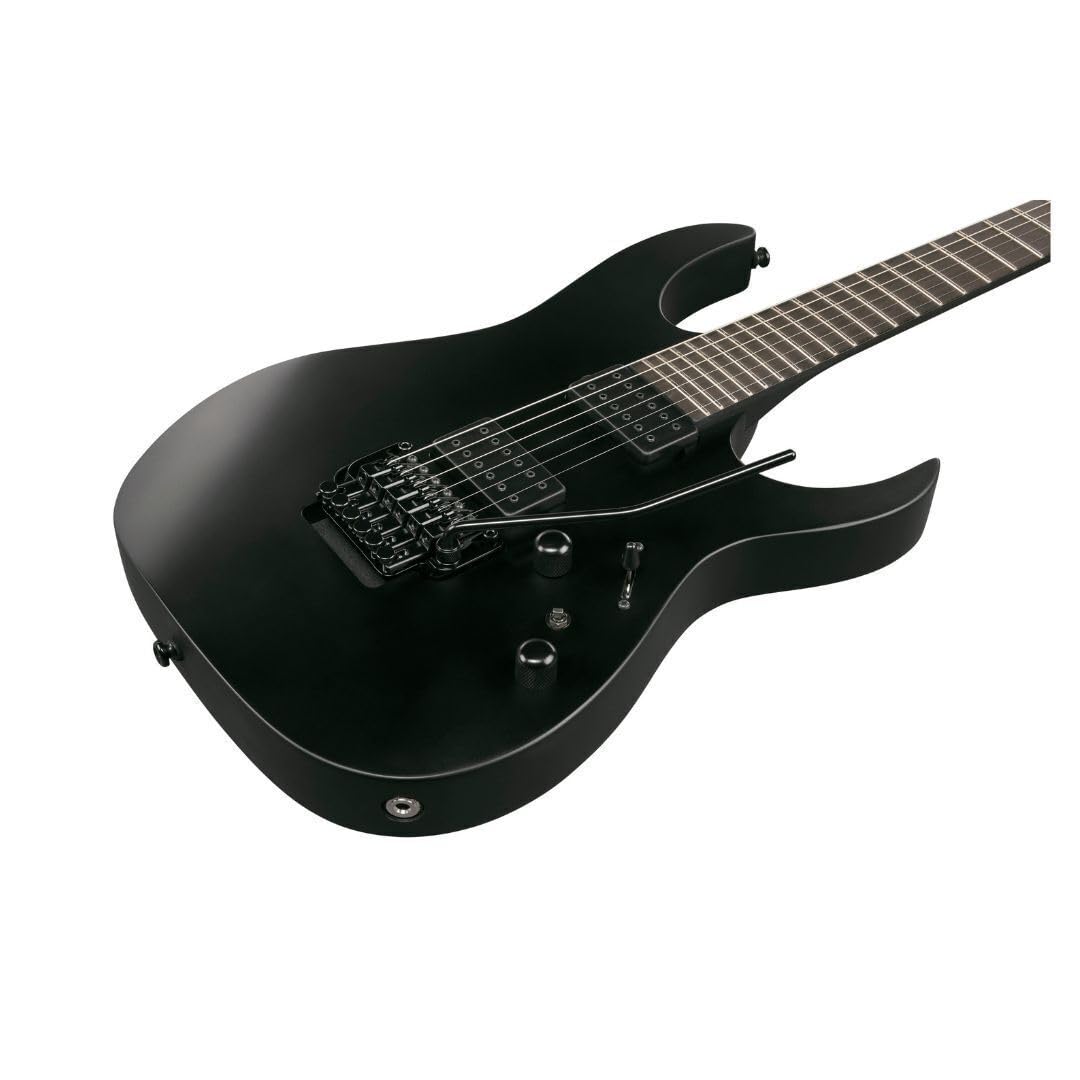 Amazon.com: Ibanez RGRB620 Iron Label 6-String Right-Handed