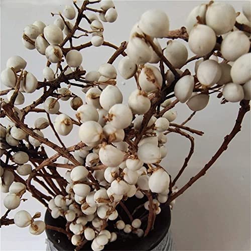 Ramo de flores secas naturales para decoración miniatura 3
