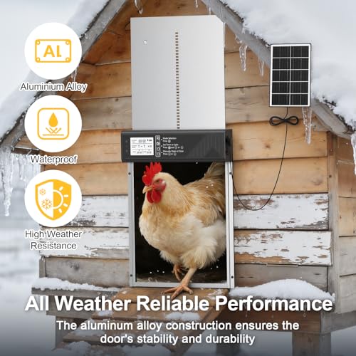 Image of Large Automatic Chicken Coop Door Solar Powered with Timer & Light Sensor | 4000MAh Internal Battery, Automatic Coop Door with Remote & Anti-Pinch Function, Automatic Chicken Door Made of Al-Alloy