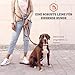Vitazoo Hundeleine zum Trainieren - 3m - Nylon Graphit Doppelleine für kleine, mittelgroße & große Hunde - verstellbare Leinen bis 4 Verschiedene Längen - Braun
