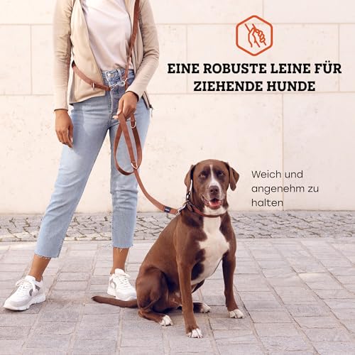 Vitazoo Hundeleine zum Trainieren - 3m - Nylon Graphit Doppelleine für kleine, mittelgroße & große Hunde - verstellbare Leinen bis 4 Verschiedene Längen - Braun