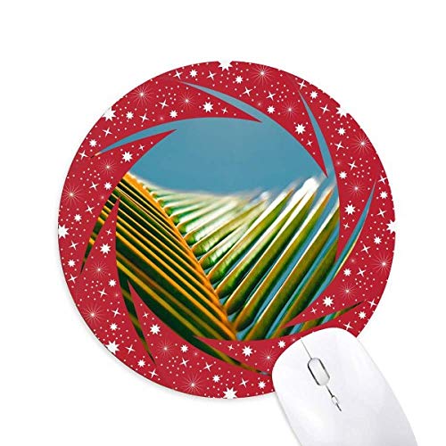 t̐A̎R̐̎ʐ^ ~`S̐Ԃ̃zC[pbh