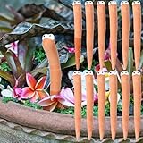 Relaxweex 12 Pcs Water Sensor Ceramic Worm The Potting Shed Worm Water Sensor Plant Decoration Moisture Monitor Gardening Houseplant Humidity Meter Fun Gardening Gift for Your Potted Plant (6 Inch)