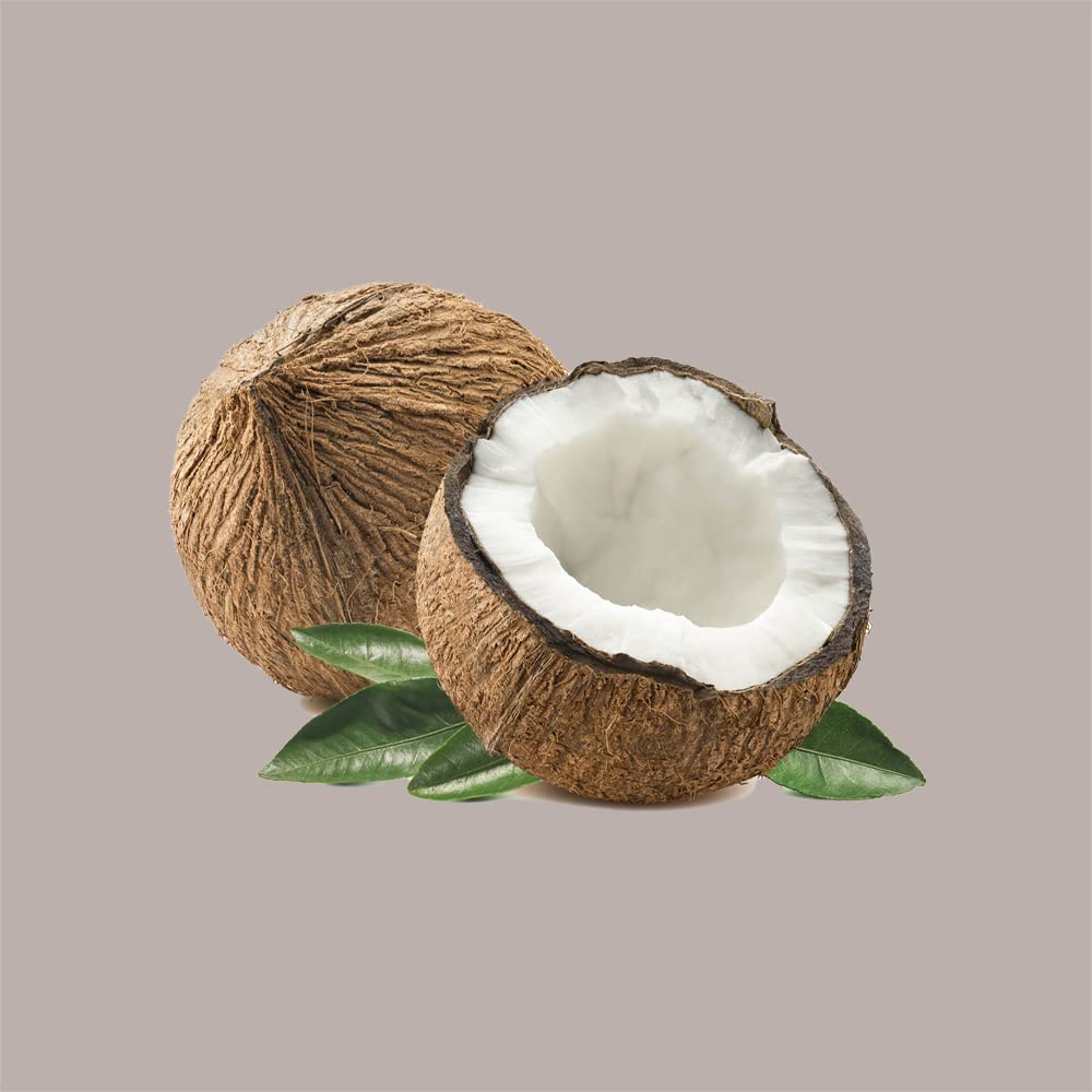 Leagel Pasta Concentrata Cocco Basso Dosaggio per Gelato alla Frutta | 3,5 Kg