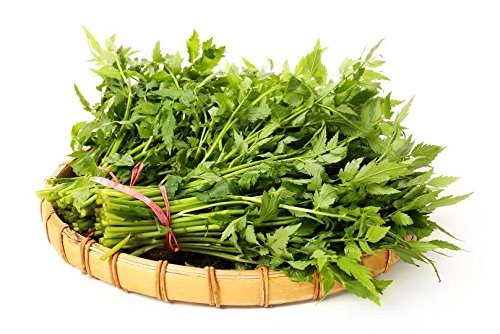 Graines De Livèche Levisticum Officinale