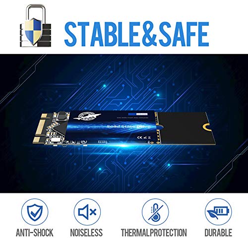 使用時間806時間 LEVEN m.2 NGFF SSD 1TB Amazon.com: SSD M.2 2260 1TB Dogfish Ngff Internal Solid State