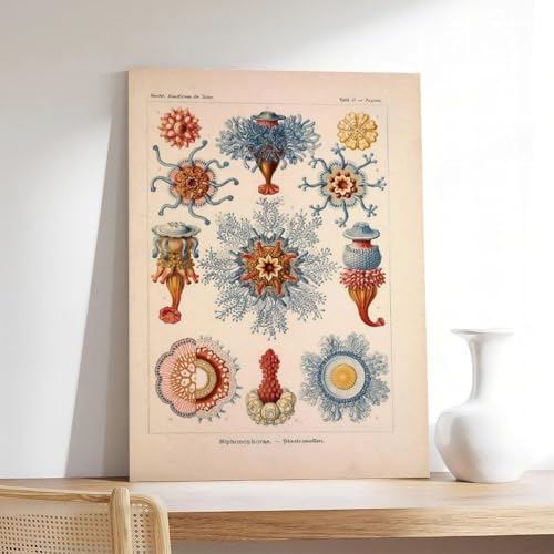 Cadre vintage créature marine grand format chambre