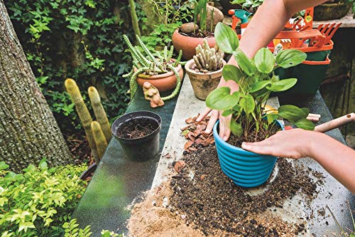Tramontina Cachepô/vaso Para Flores Mimmo, Azul, 1,7 L