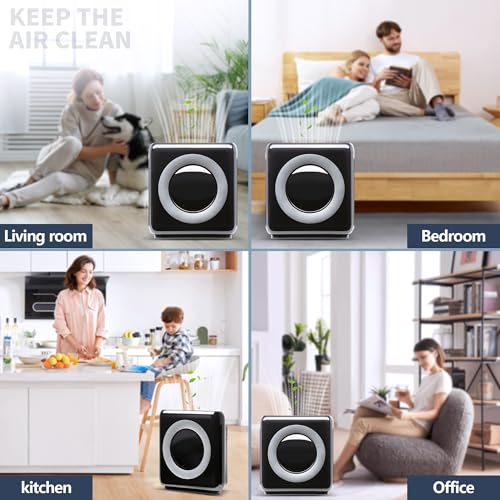 True HEPA Air Purifier for Allergies