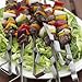Steven Raichlen Signature Series SR8816 Stainless Steel Kabob & Rack Set