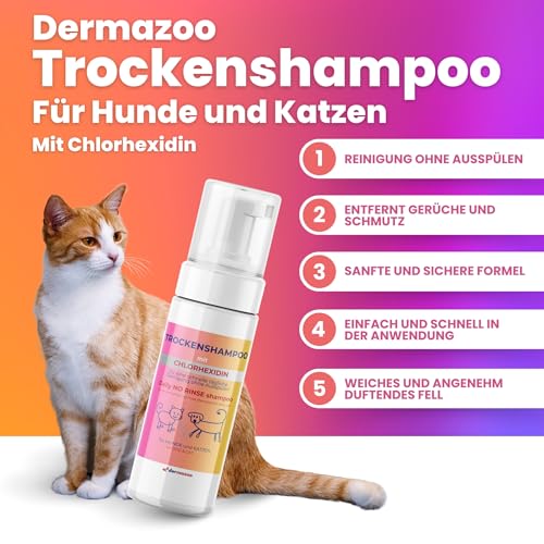 Dermazoo Trockenshampoo für Hunde und Katzen mit Chlorhexidin ohne Ausspülen, 190 ml, Mousse für schnelle und vollständige Anwendung, Shampoo für Hunde und Katzen, geruchlos