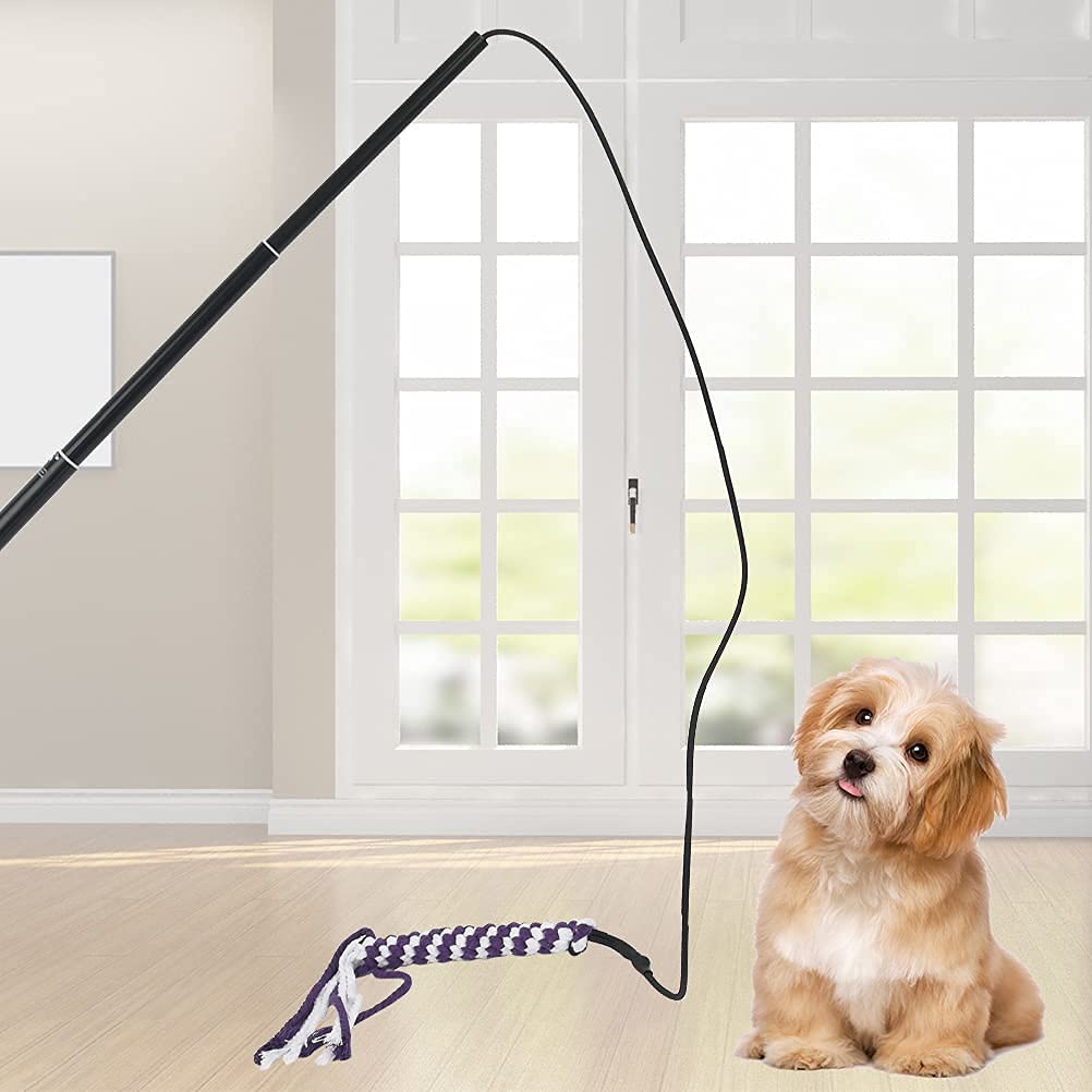 Canne à Pêche Rétractable Pour Chien, Canne à Pêche Pour Chien