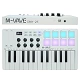 Teclado controlador MIDI USB de 25 teclas com 8 pads de bateria retroiluminados, teclado dinâmico profissional semipesado Bluetooth, 8 botões e produção musical