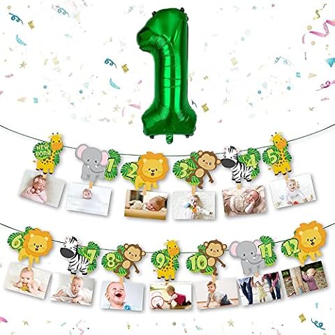 1st Birthday Baby Photo Banner for Newborn to 12 months, Monthly Milestone Photograph Bunting Garland, First Birthday Celebration Decoration with A NO. 1 Balloon Cover