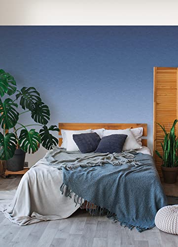 RoomMates RMK12655MW Blue Aura Ombre Peel & Stick...