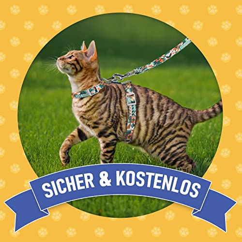 Supet Katzengeschirr und Leine, ausbruchsicher Katzenweste für kleine große Katzen, verstellbare Katzenhalsbänder, Geschirre und Leinen zum Gehen, leichtes Kätzchengeschirr