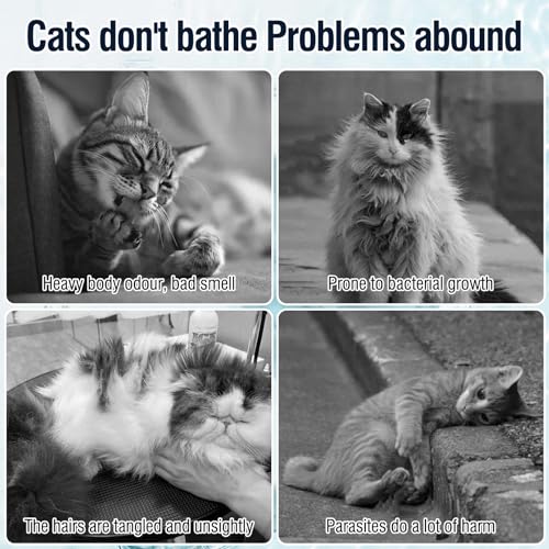 500ml 16.9 Fl Oz Cat Shampoo for Cats and Kittens Gentle Care for Itchy and Sensitive Skin Long-Lasting Aromatic Shower Gel Purely Botanical Formula Pet Shampoo - Image 5