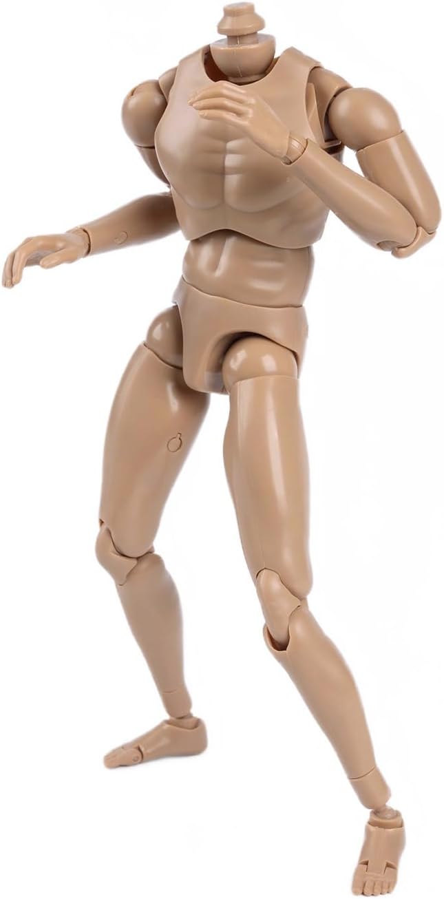 1/6 Scale Male Accessories Muscle Body for 12 inch kung fu Movie Star Action Figure Dessin Doll,ZYTOYS B001