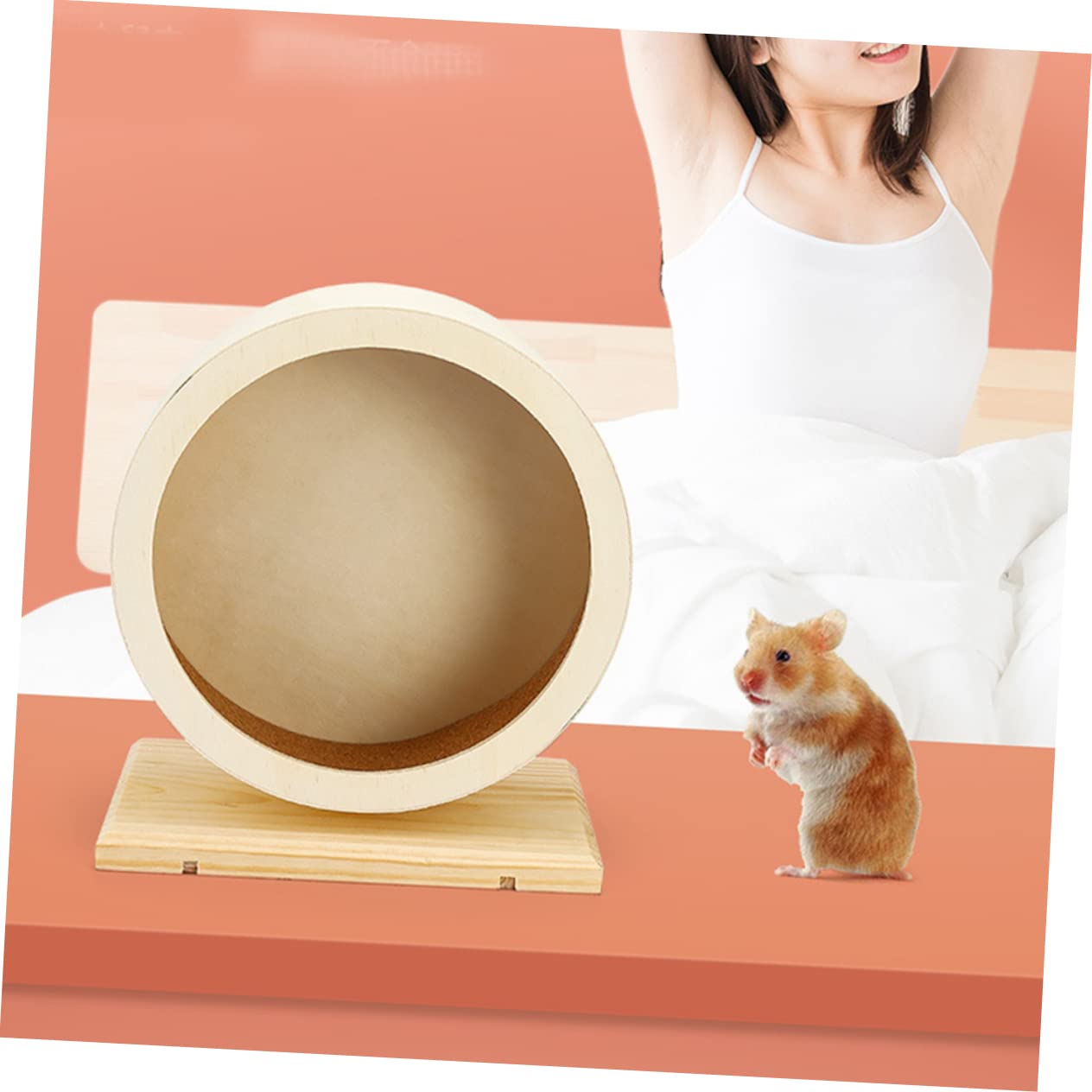Roue d'exercice en Bois pour Hamster Silencieuse, Modèle Khaki