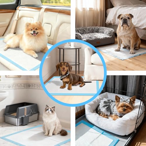Image of Gimars Dog Pee Pads Blue 24*24