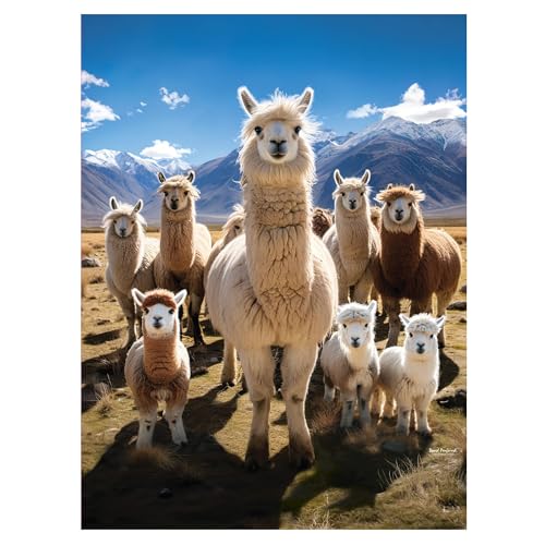 3D LiveLife Stampa artistica da parete lenticolare - Llamarama di Deluxebase. Poster 3D senza cornice con coniglio lama. Un perfetto riempitivo da parete. Opera originale con licenza del famoso