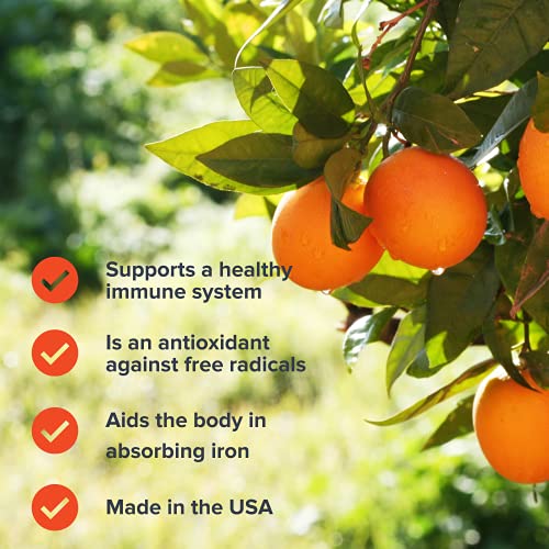 Focus Vitamins | Vitamin C, D-3 & Elderberry Gummies Variety Pack | Immune Support | Antioxidant | Dailey Dietary Supplement | Gummy Vitamin | Each Is 90 Ct, 45 Day Supply #TOP4