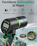 Papettly B0DB4XKXKB lato 4