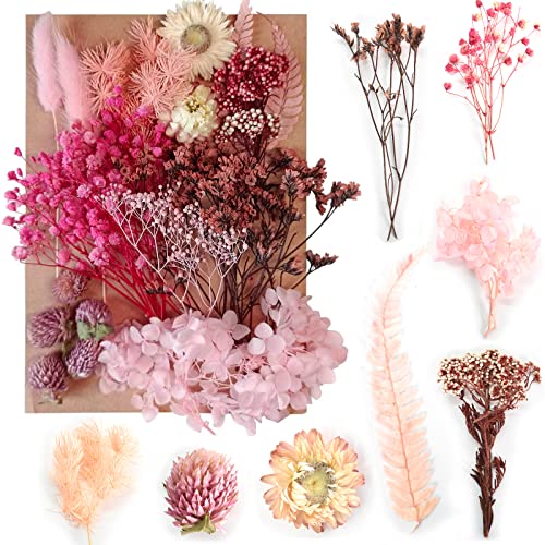 Colexy Flores Secas Naturales en Relieve, Flores Preservadas Resina Epoxi Joyería Hojas Secas Mixtas para Arte de Uñas DIY Decoración Tarjetas álbumes de Recortes Vela Artesanía (Rosa)