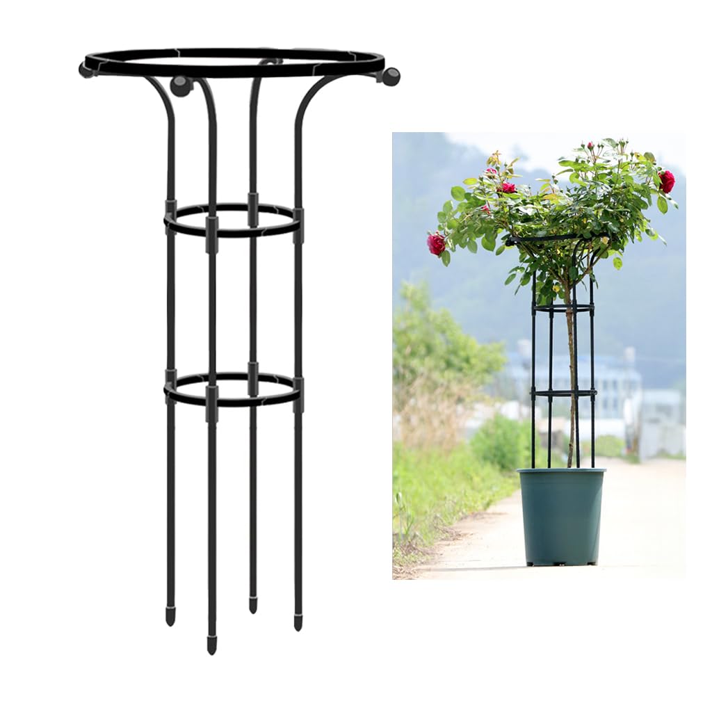 HASTHIP® Metal Garden Trellis for Climbing Plants, Vertical Plant Support with Hollow Roof Design, Rust-Proof Indoor/Outdoor Use for Potted Plants Vegetable Flowers Vine (Dia 20cm, Height 95cm)
