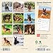 German Shepherds | 2026 7 x 14 Inch (Hanging) Monthly Mini Wall Calendar | BrownTrout | Animals Dog Breeds