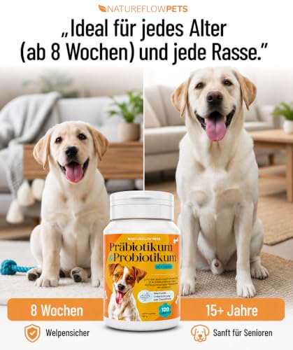 Natureflow Pets - Probiotika Hund - Darmkur bei Durchfall, Blähungen & Sodbrennen - Darmflora aufbauen & Magen-Darm stärken Präbiotika für Hunde - Magenschutz & Darmwohl mit Präbiotikum