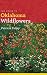 The Guide to Oklahoma Wildflowers (Bur Oak Guide)