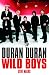 Duran Duran: Wild Boys