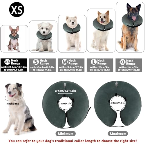 panemy Aufblasbare Halskrause Hund & Halskrause Katze, Halskrause Hund mit Verstellbarem Klettverschluss, Hunde Halskrause für Operationen oder Wundheilung, Anti-Beißen, Anti-Lecken (Grau, XS)