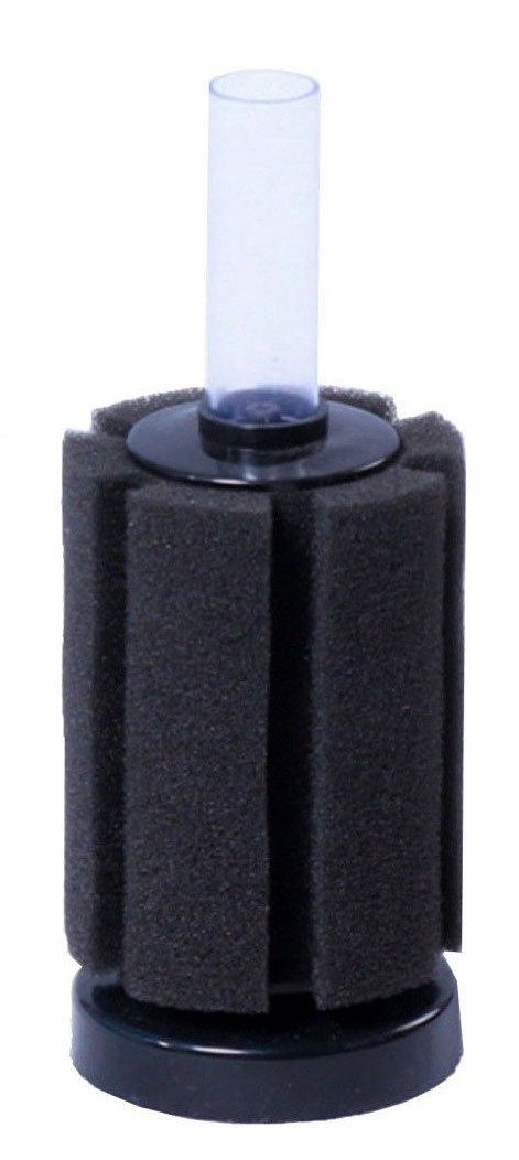 Amazon.com : CNZ® Air Driven Biochemical Bio Sponge Filter